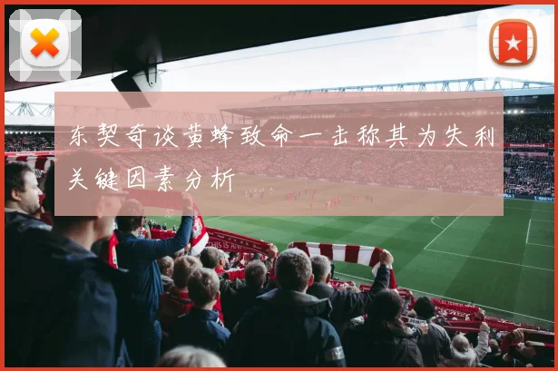 东契奇谈黄蜂致命一击称其为失利关键因素分析